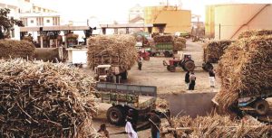 A Comparative Analysis: Khoski Sugar Mills vs Other Sugar Mills in Pakistan