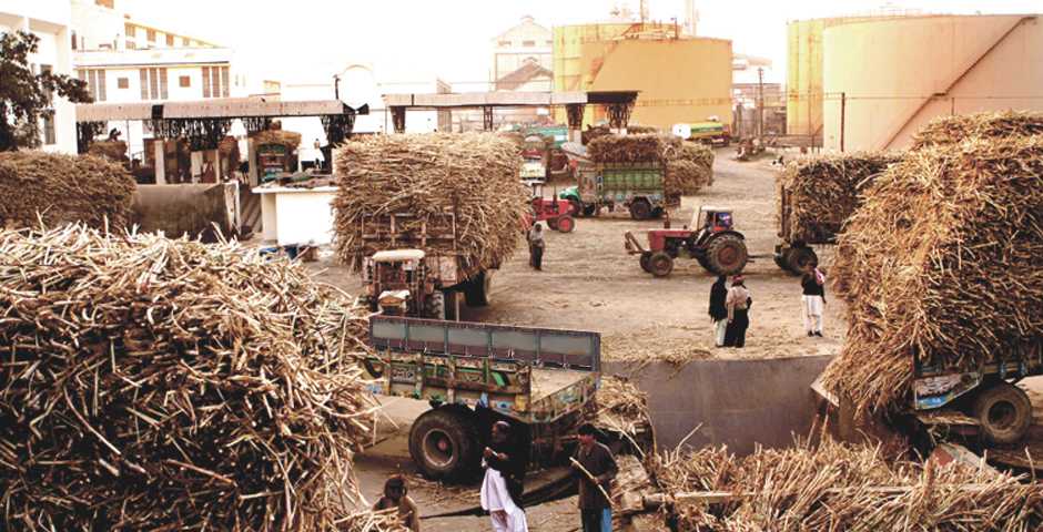 A Comparative Analysis: Khoski Sugar Mills vs Other Sugar Mills in Pakistan